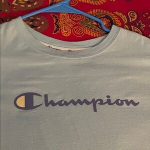 Champion Crop Top sz S 🩵
